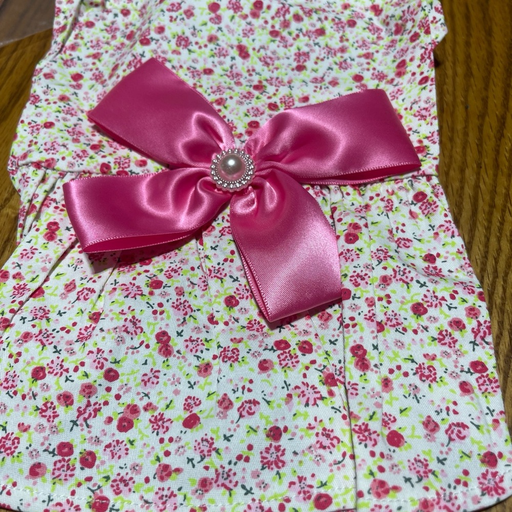 Car or dog dress outfit xs